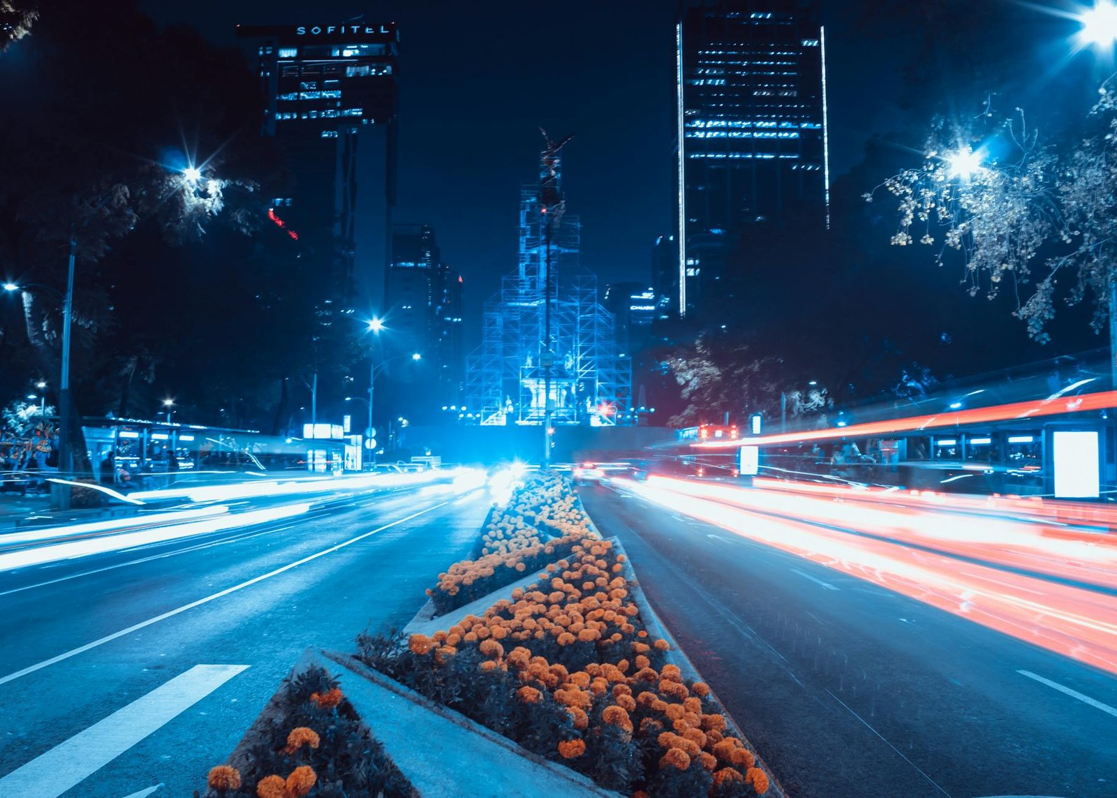 Long exposure of Avenida Reforma in Mexico City at night with vibrant marigolds and city lights.