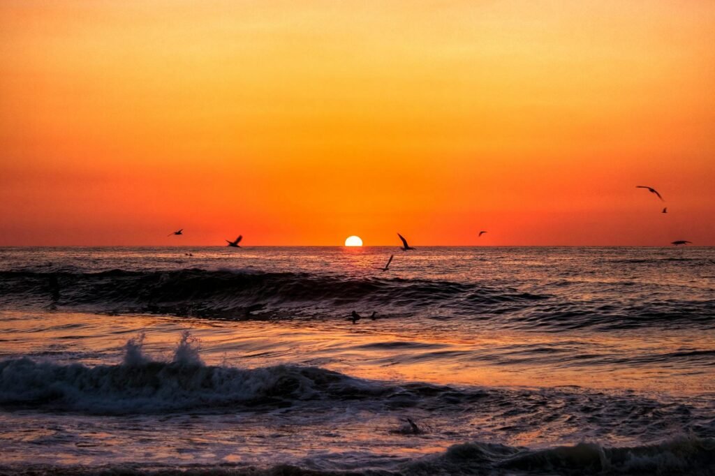 A stunning sunset over the Pacific Ocean with birds silhouetted against a golden sky in Mexico.