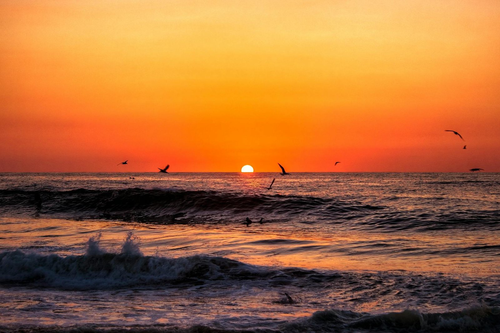 A stunning sunset over the Pacific Ocean with birds silhouetted against a golden sky in Mexico.