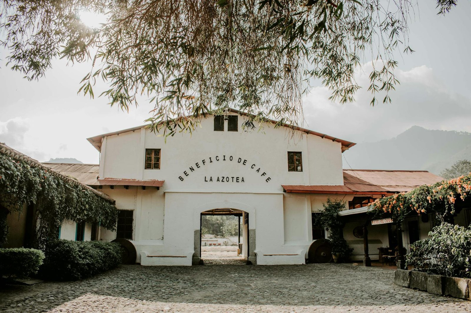 Charming historic building of Beneficio de Cafe La Azotea surrounded by lush greenery and cobblestones.